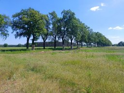 Radweg Dreetz-Neustadt - Entstehung und Einweihung